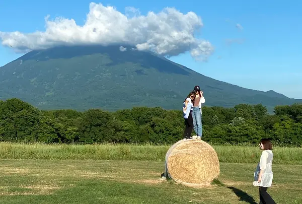 高橋牧場ニセコミルク工房の写真・動画_image_955746