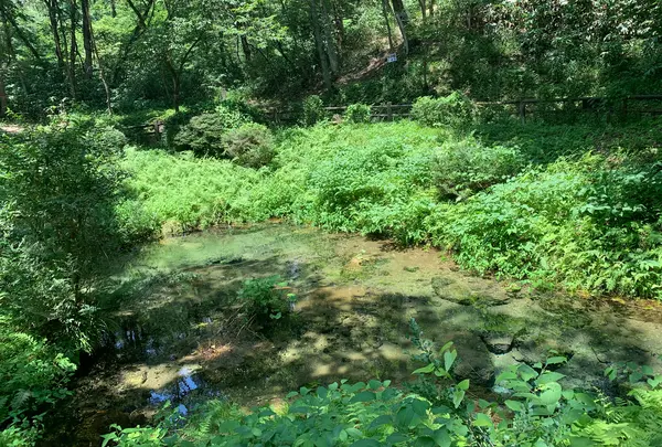 塩釜の冷泉