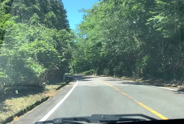 蒜山大山スカイラインの写真・動画_image_956790