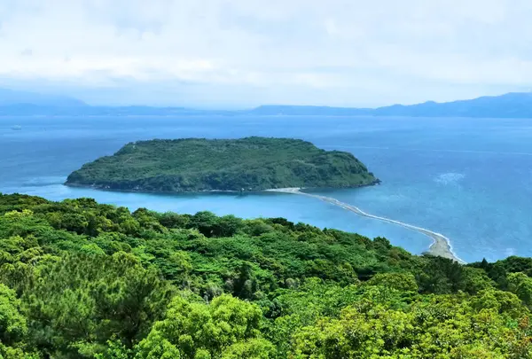 知林ヶ島
