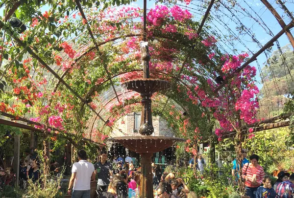 The Grounds of Alexandria