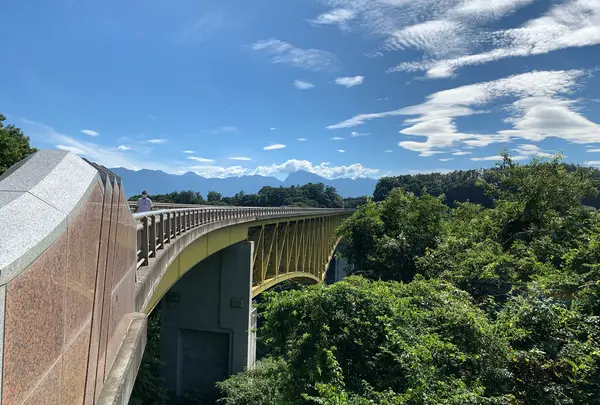 八ヶ岳高原大橋の写真・動画_image_958920
