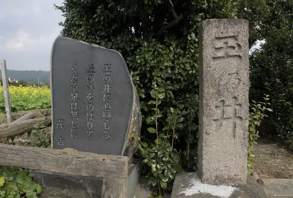 玉乃井