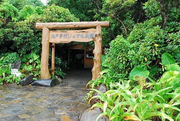 志戸子ガジュマル公園