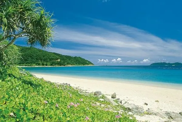 倉崎海岸
