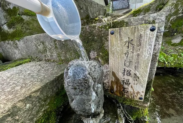けやき水源