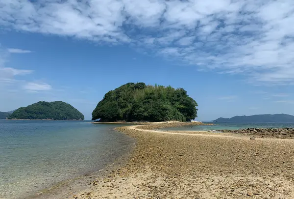 真宮島