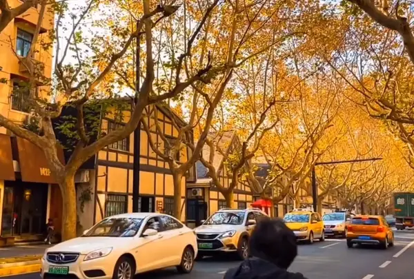 武康路（Wu Kang Lu）