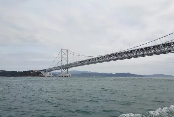 大型観潮船 わんだーなると（予約不要）