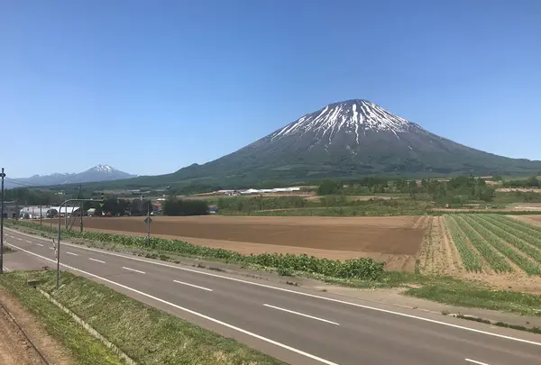 フラワーパーキング