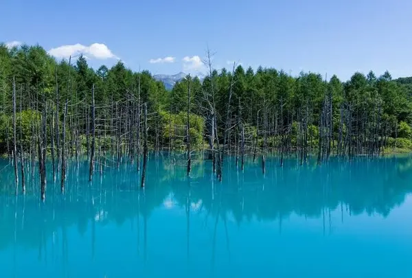 青い池