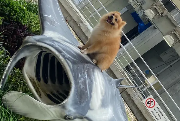 海洋博公園