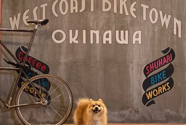 SHUHARI BIKE WORKS OKINAWA (自転車研究工房 守破離） 北谷町美浜 レンタサイクル オリジナルバイク制作