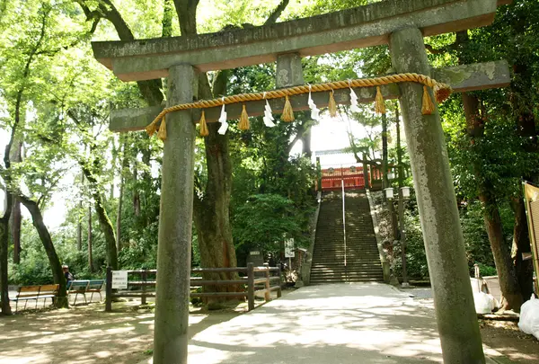 仙波東照宮の写真・動画_image_96670