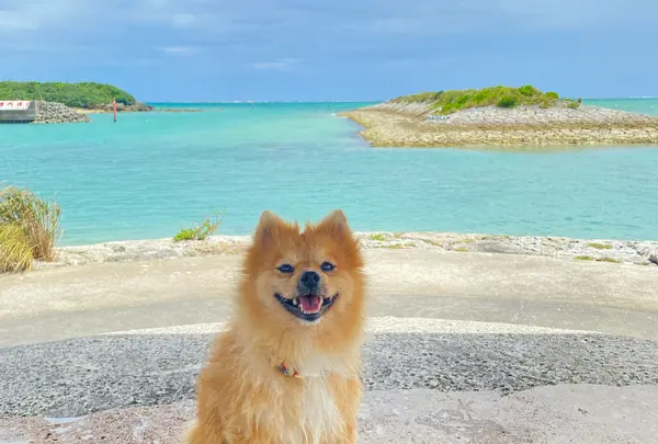 Shikiya Beach