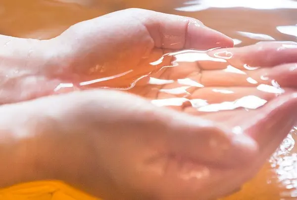 金沢白鳥路 ホテル山楽