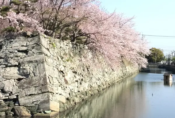 徳島中央公園