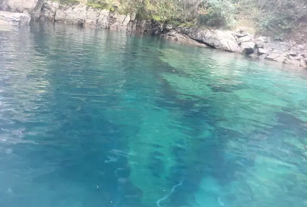 仁淀川アウトドアセンター