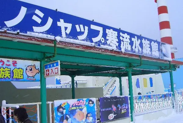 ノシャップ寒流水族館