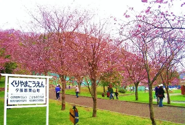 栗山公園