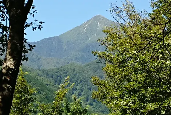 長野県烏川渓谷緑地 (森林エリア)