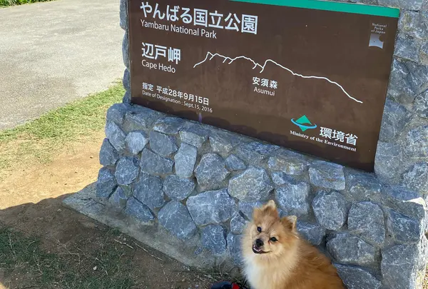 辺戸岬