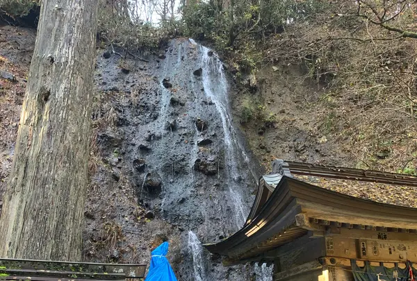 羽黒山の写真・動画_image_976736
