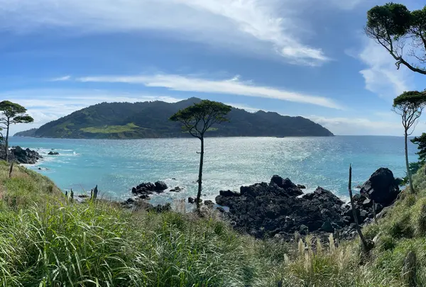 牡鹿半島