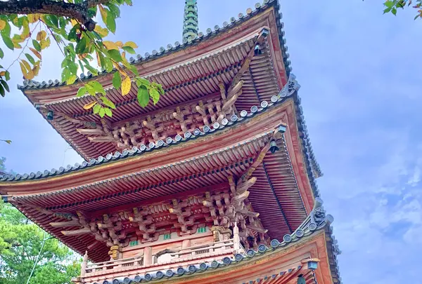 向上寺の写真・動画_image_977463