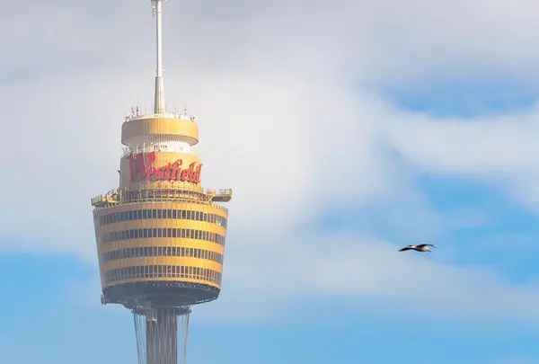 Sydney Tower Eye（シドニータワー・アイ）の写真・動画_image_978649