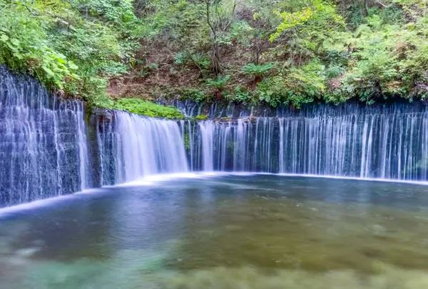 白糸の滝の写真・動画_image_980390