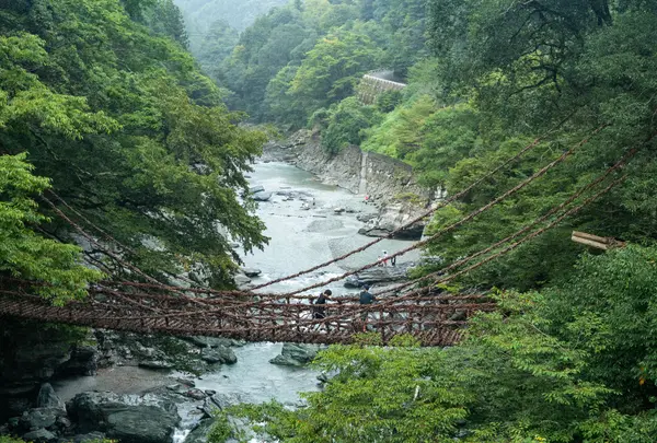 祖谷のかずら橋