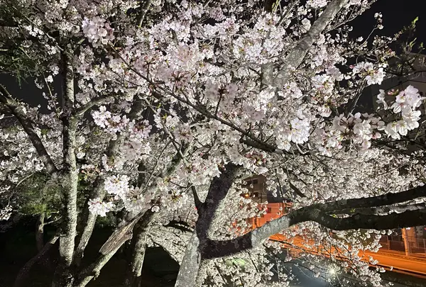 徳島中央公園