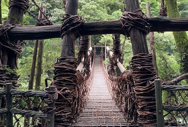 祖谷のかずら橋