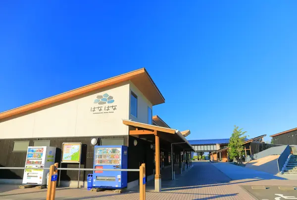 三崎港の写真・動画_image_983067