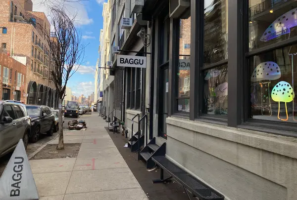 BAGGU Brooklynの写真・動画_image_984718