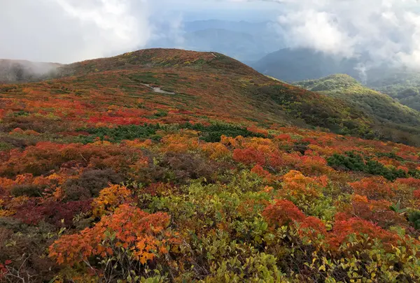 栗駒山の写真・動画_image_985344