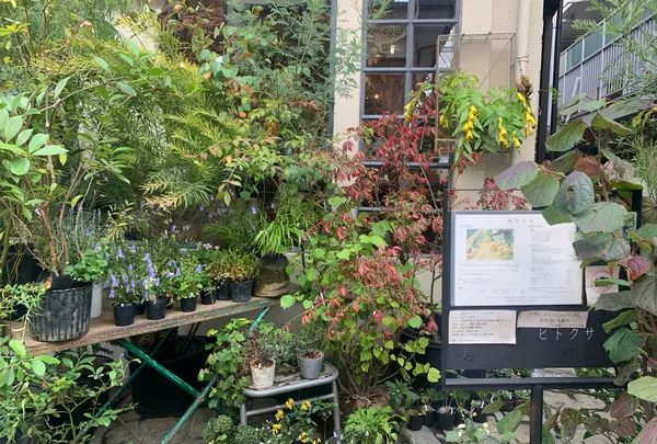 ヒトクサカタチ製作所の写真・動画_image_989313