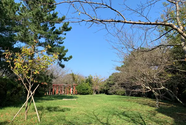 勝本城跡
