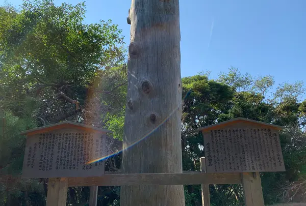 諏訪大社式年造営御柱大祭