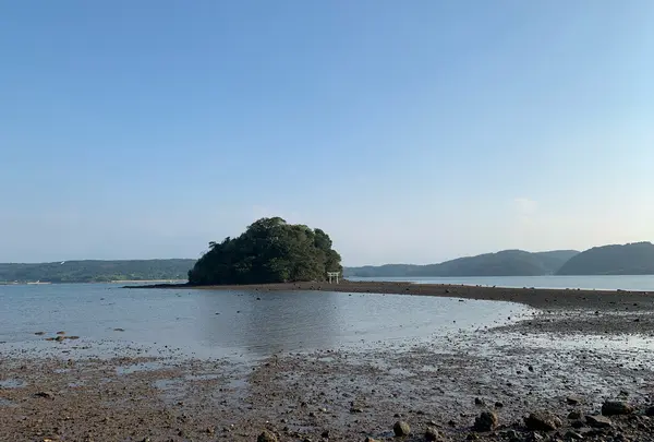小島神社