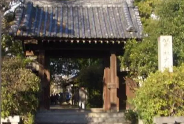 大依羅神社の写真・動画_image_996889