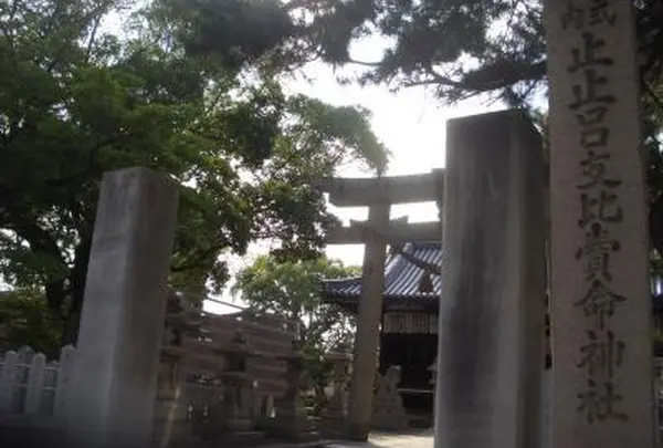 止止呂支比売命神社の写真・動画_image_996895