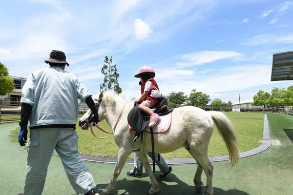 3歳から乗馬できる