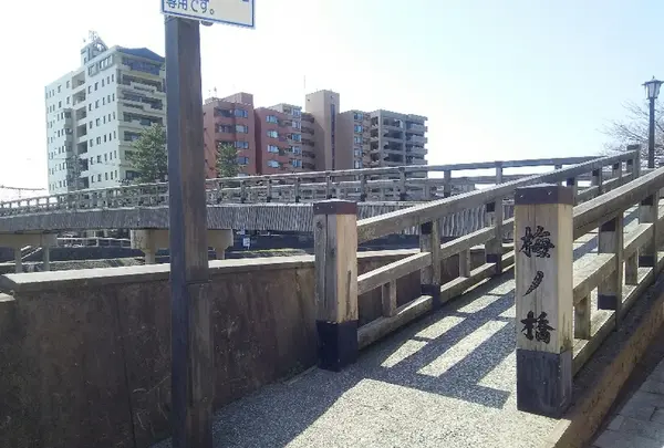 ひがし茶屋街の写真・動画_image_190468