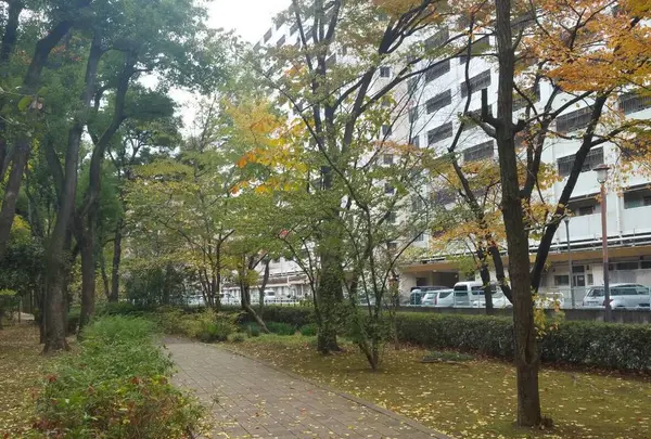 ファミリー名店街の写真・動画_image_241139
