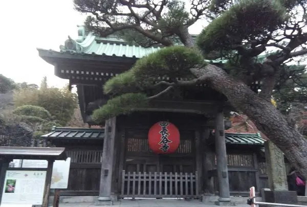 長谷寺の写真・動画_image_244127