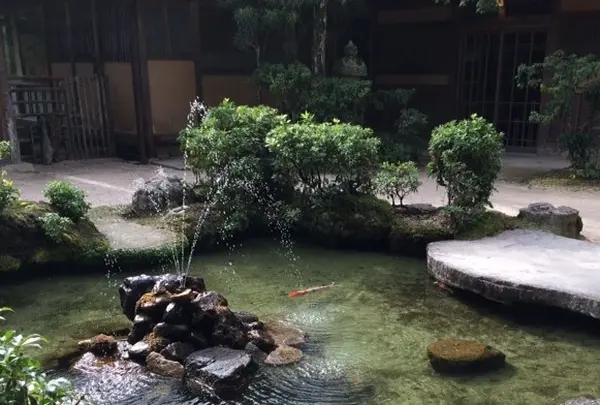 久久能智の聖木の写真・動画_image_344537