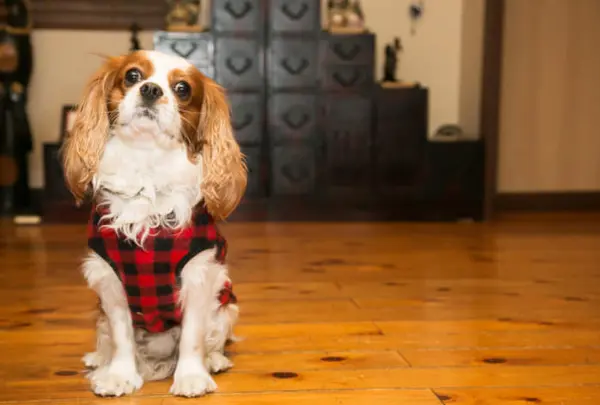 お宿 丸正の写真・動画_image_357492