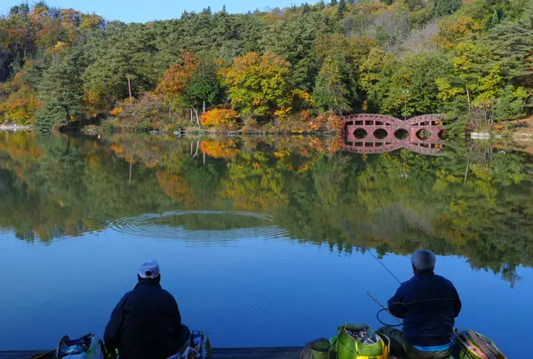 大平森林公園の写真・動画_image_364395